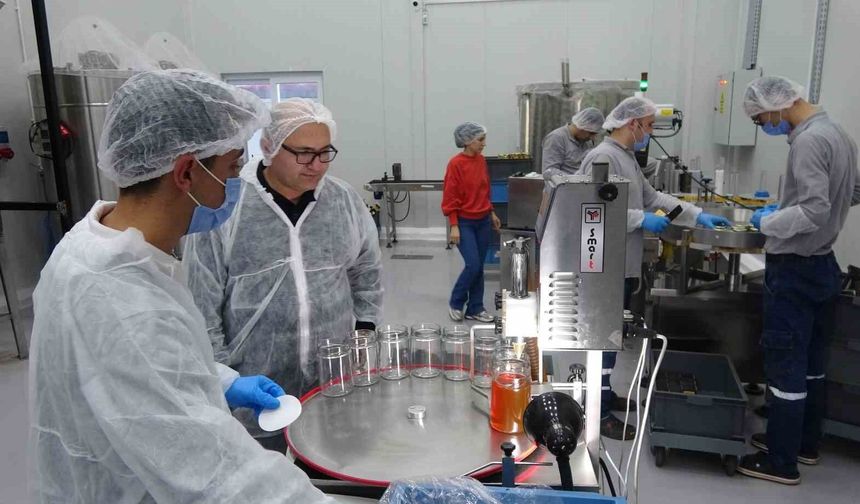 Mersinli arıcılar teknolojiyi yakından takip ediyor: Devlet desteğiyle modern tesis kurdu, 40 kişiye istihdam sağladı