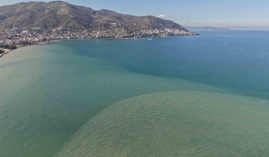 Ordu'da eriyen kar suları denizin rengini değiştirdi