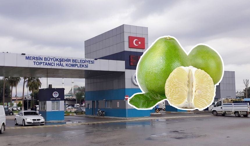 Çin greyfurtu Mersin Hali’nde kilosu 260 TL’ye satılıyor