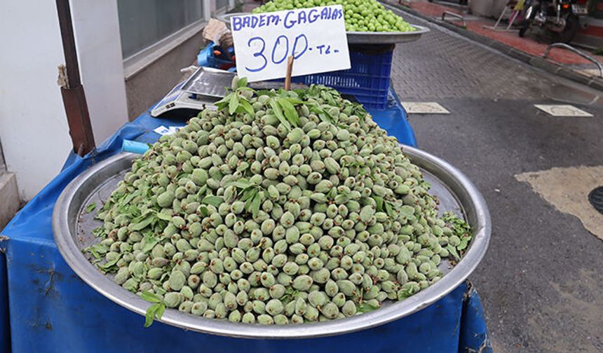 Mersin’de çağlanın kilosu 300 TL!