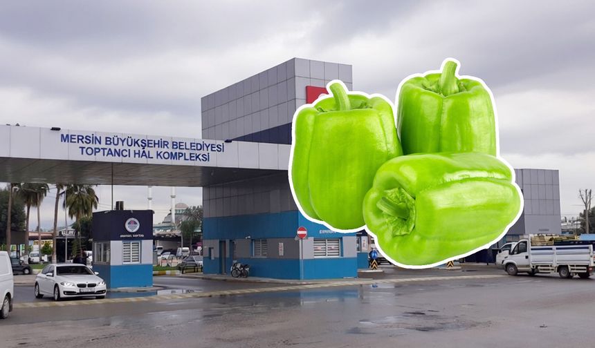 Biber dolması yapmak hayal oldu