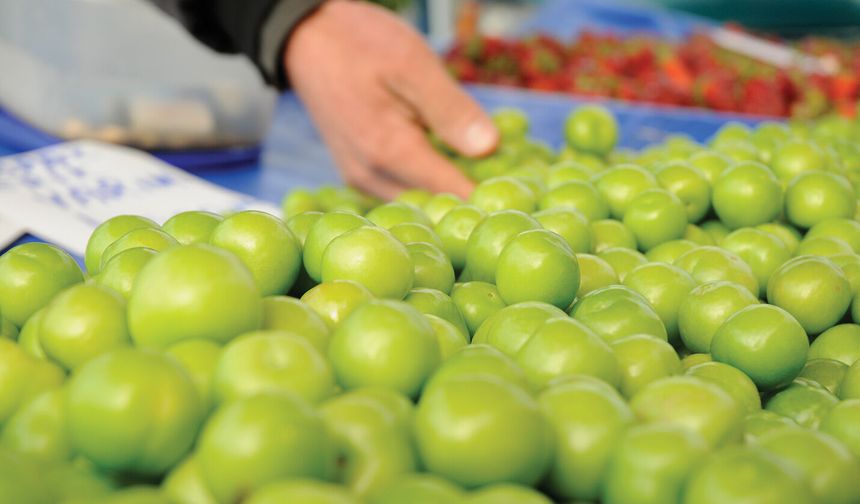 Mersin’de yılın ilk eriği satışa sunuldu: Halde kilosu 800 TL