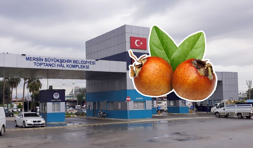 Mersin Hali’nde satışta: Muşmulanın fiyatı ve faydaları nelerdir?