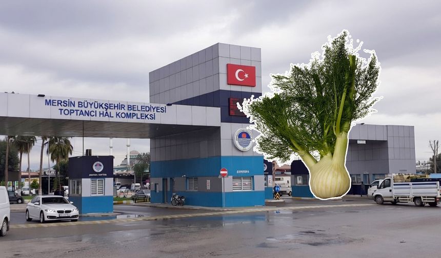 Birçok hastalığa karşı faydalı olan rezene, Mersin Hali’nde satışta