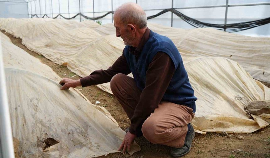 76 yaşındaki Bayburtlu üretici ata tohumları için zirai don nöbetinde