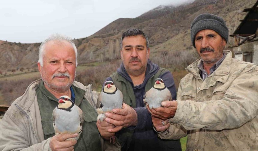 Atadan toruna kalan miras: 'Baskın keklik' yöntemiyle dev envanter