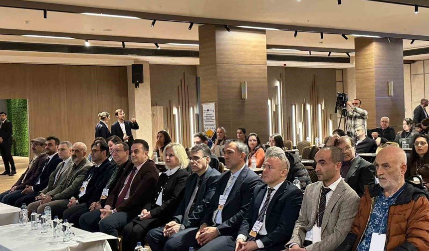 Karadeniz resiflerinde balık çeşitliliğini izleyecekler