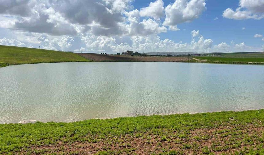 Kuraklıkla kuruma noktasına gelen gölet yağışlarla yeniden canlandı