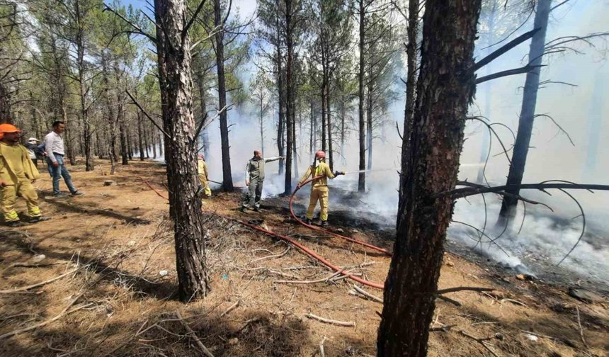 Mersin'de orman yangınlarına karşı tatbikat yapıldı