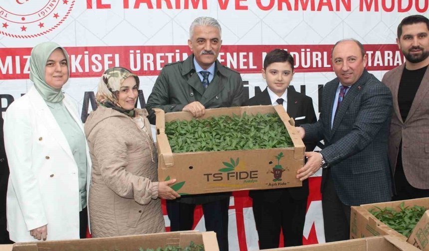 Sebze üretimi yapan çiftçilere fide dağıtıldı
