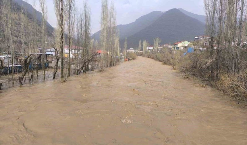 Şırnak'ta şiddetli yağış sonrası Habur Çayı coştu