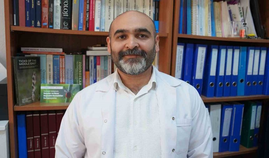 Uzmanı uyardı: 'Kar örtüsü keneleri yok etmiyor'