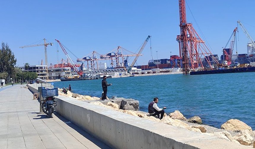 Mersin’de çipura ve levrek mesaisi sürüyor