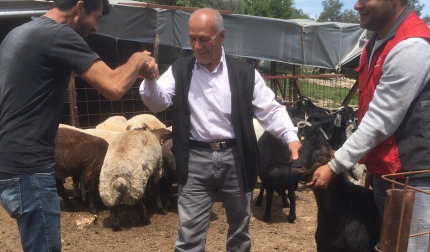 Mersin’de kurbanlık satışları başladı: Besiciler dertli