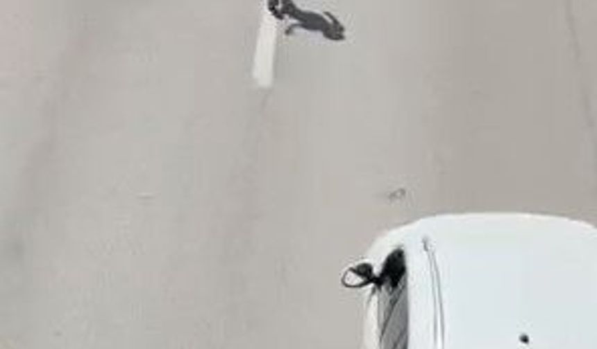Canını hiçe sayarak akan trafikte böyle yürüdü