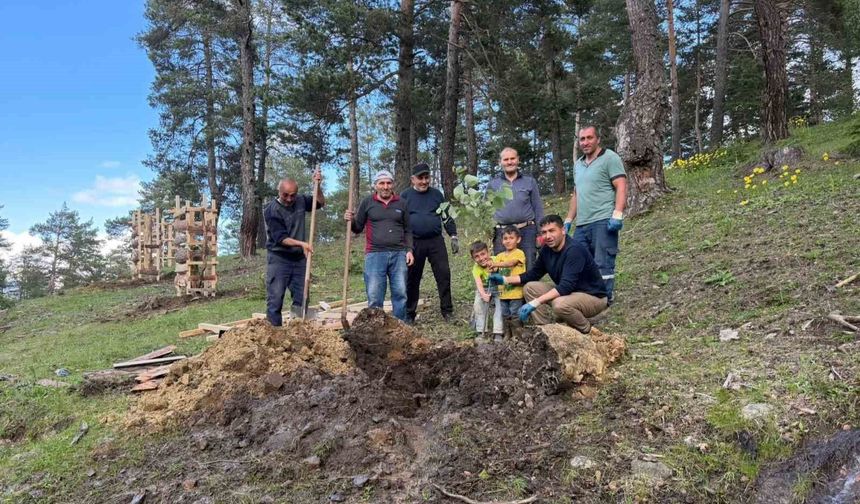 Köylülerden örnek davranış: 600 fidan toprakla buluştu