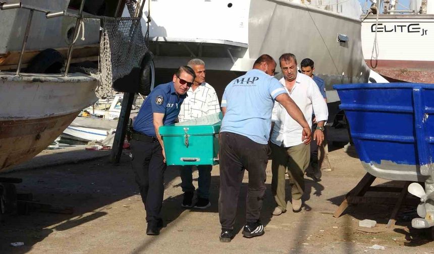 Mersin'de balıkçı barınağında erkek cesedi bulundu