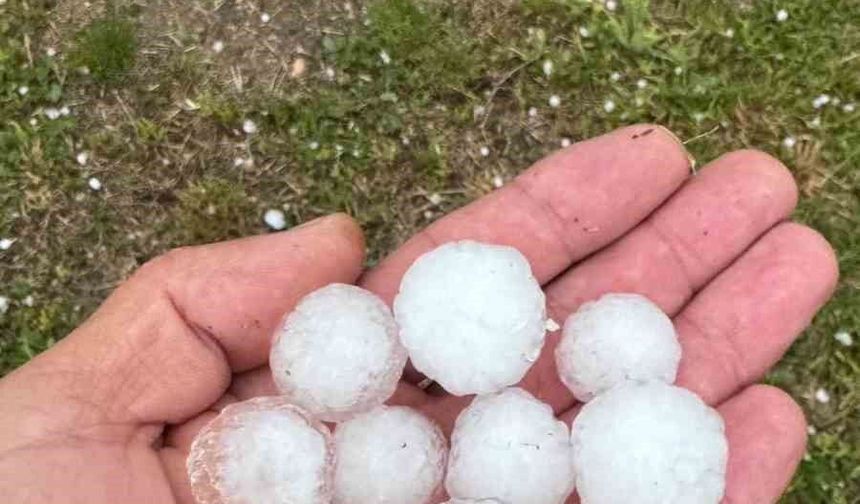 Sivas'ta fındık büyüklüğünde dolu yağdı, ağaçlar çiçek döktü