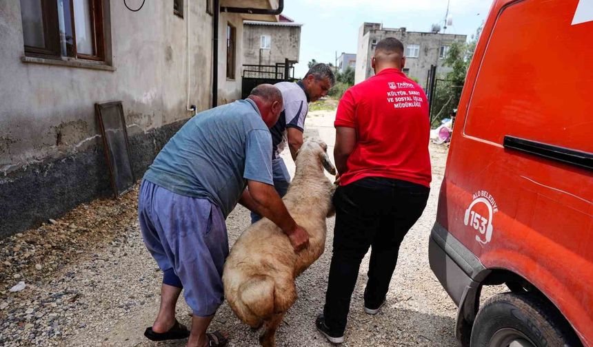 Tarsus Belediyesinden şehit ailelerine bayram desteği