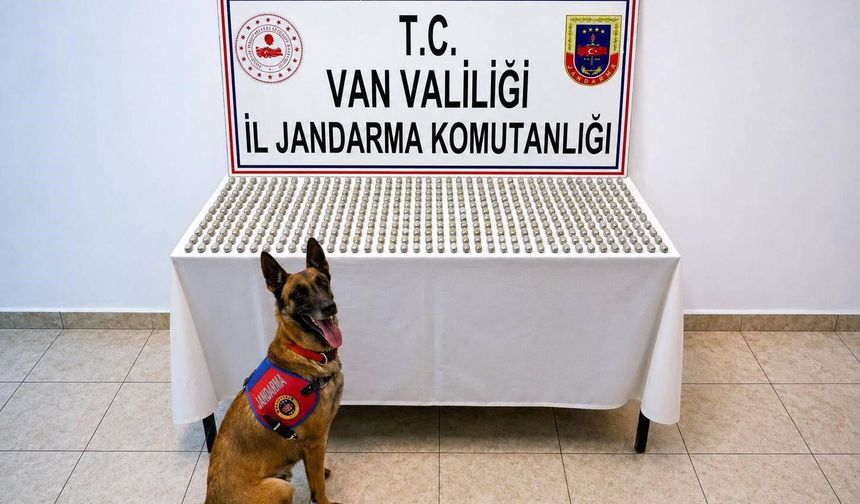 Van'da 8 İranlı'nın midesinde 3 kilo esrar ele geçirildi