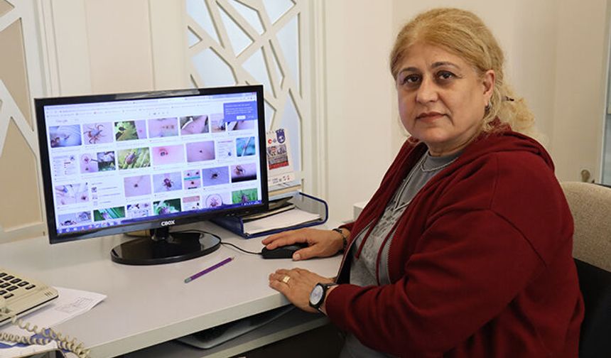 Dr. Sibel Ünlü: “Kene vakalarının yüzde 4’ü ölümle sonuçlanıyor”
