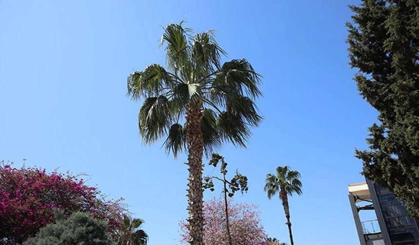 Mersin’de 30 Mayıs Cumartesi günü hava durumu