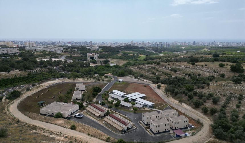 Yenişehir’de patili dostlara tam donanımlı sağlık üssü