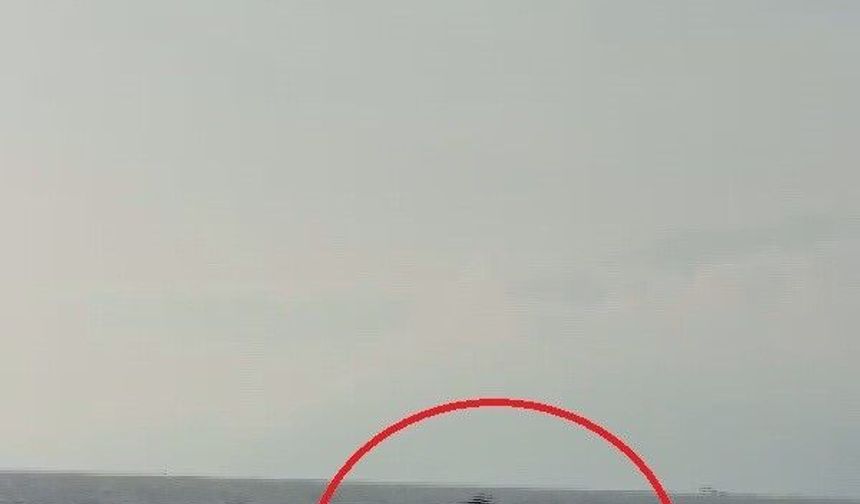 Akdeniz açıklarında balıkçı teknesini selamlayan yunuslar görüntülendi