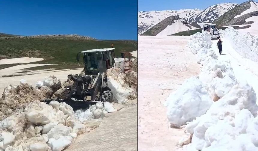 Hakkari'de yaz günü 3 metreyi bulan karda yol açma çalışması