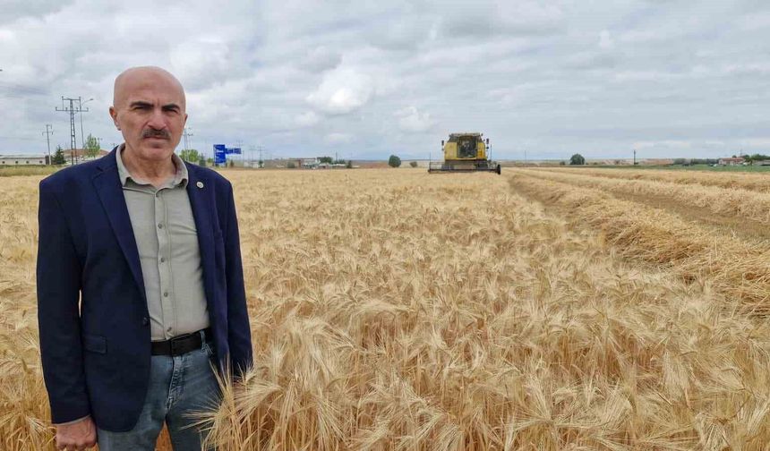 Karaman Ovası'nda yılın ilk arpa hasadı yapıldı