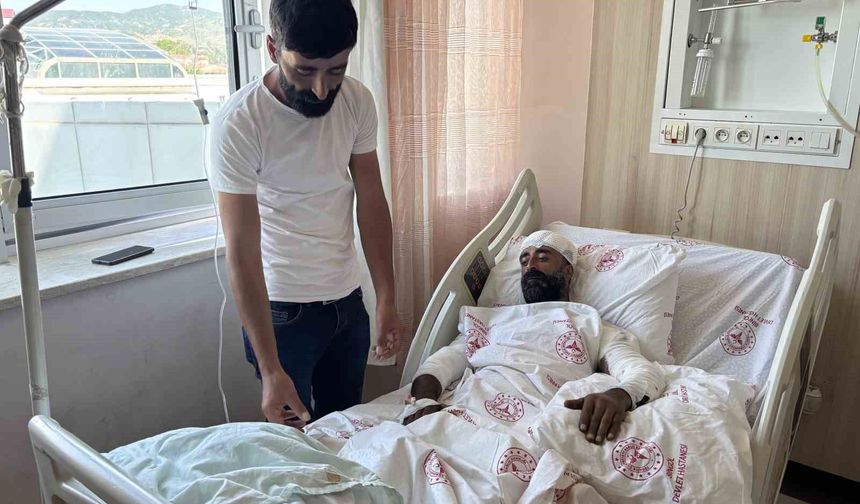 Mantar toplarken ayı saldırısına uğradı, kollarıyla başını siper ederek hayatta kaldı