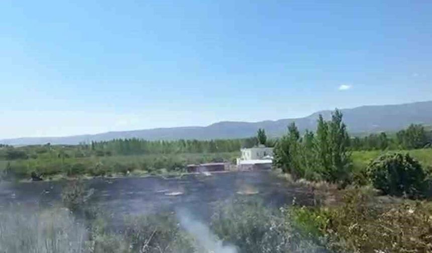 Mersin Mut'ta yangın: 15 dönüm bahçe zarar gördü