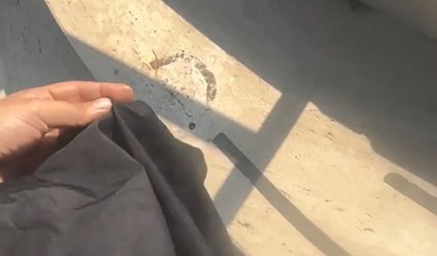 Mersin'de havuzda tesettür mayo yasağında site görevlisi tutuklandı
