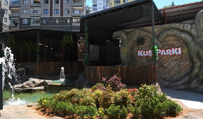 Trabzon'da kuş parkı ilgi çekiyor