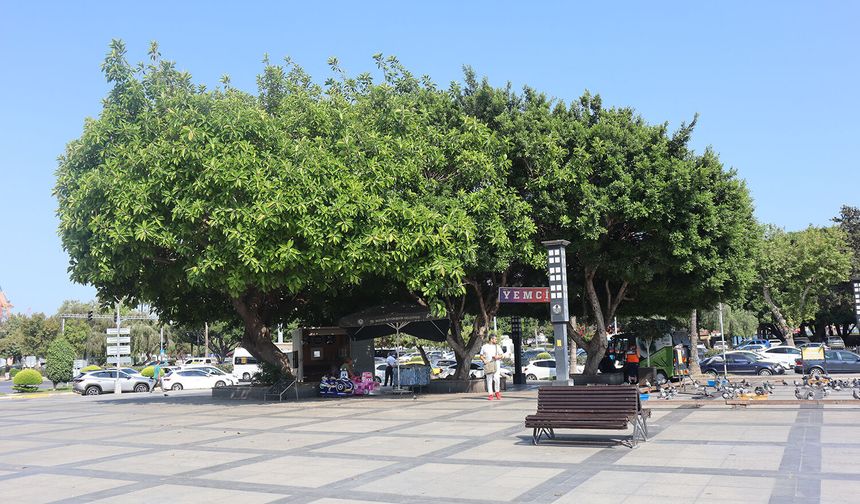 Mersin’de bugün hava sıcaklığı 38 dereceye kadar çıkacak