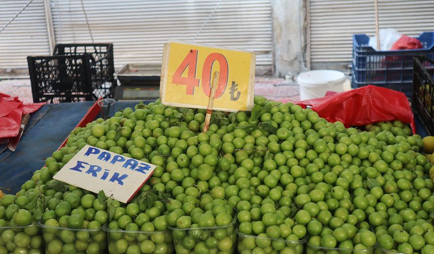 Erik’in fiyatı 25 kat ucuzladı: Fiyatlar daha da düşecek