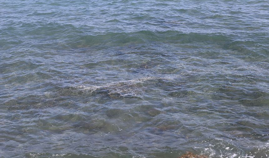 Mersin’de deniz suyunun ısınmasıyla müsilaj görülmeye başladı