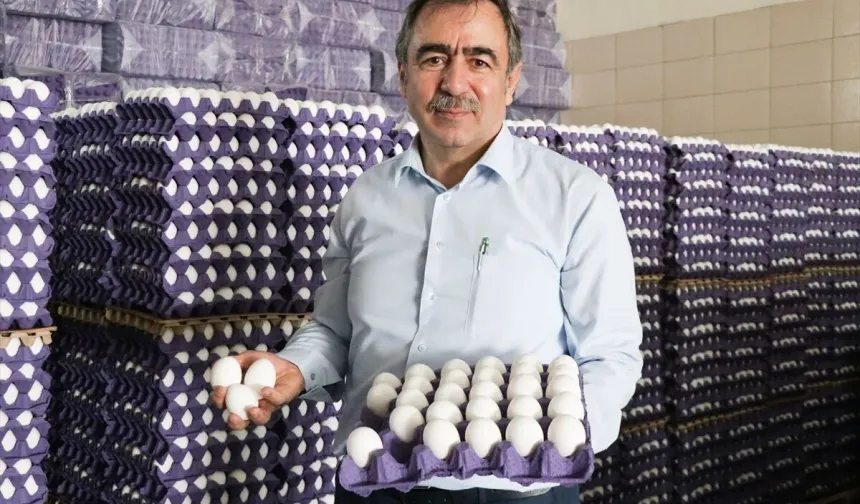 YUM-BİR Başkanı Afyon: "Sorun plansız üretim ve ihracat kısıtlamaları"