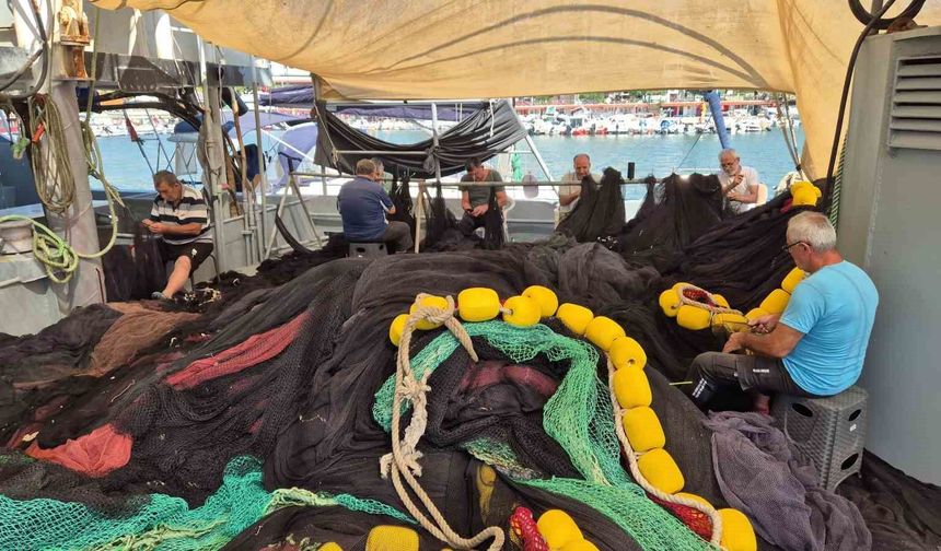40 yıllık balıkçıdan müjde: Denizde balık patlaması bekleniyor