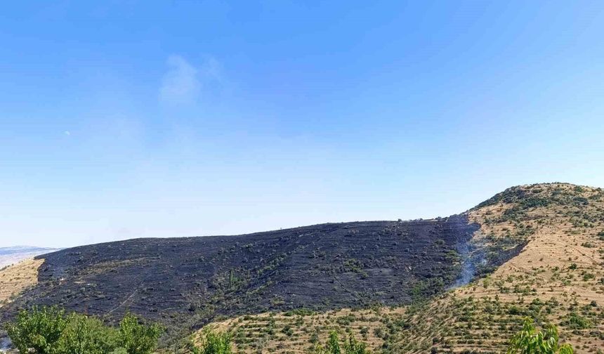 Afyonkarahisar'da çıkan yangında 150 hektarlık alan zarar gördü