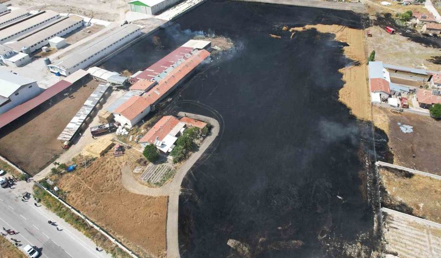 Anız yangınları hem canlılara hem de toprağa zarar veriyor