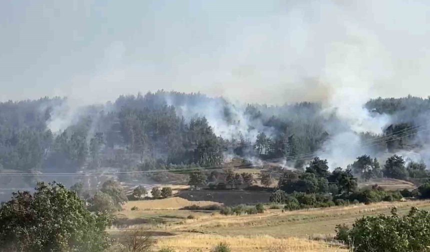 Balıkesir'de orman yangınına müdahale sürüyor