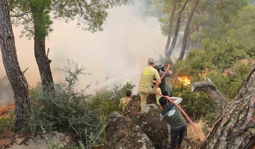 Çine yangınına müdahale ikinci günde sürüyor