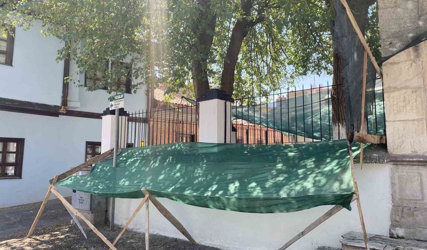 Dökülen dutlar için ağlı önlem