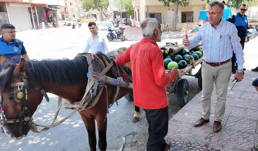 Mersin'de bitkin düşen at yeni yuvasına kavuştu