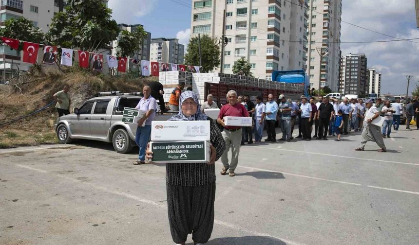 Mersin'de üreticiye feromon tuzak ve makine ekipmanı desteği