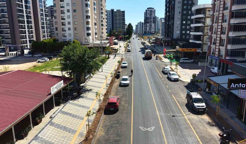 Mersin'de yenilenen cadde 420 ağaçla buluştu