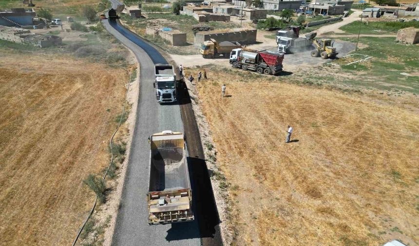 Sınır bölgesinde 50 yıl sonra bir ilk
