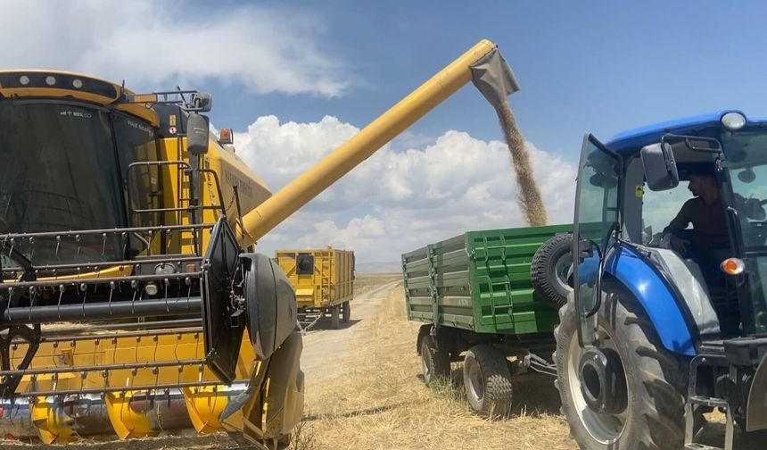 Tarımın kalbi Adilcevaz'da buğday hasadına başlandı
