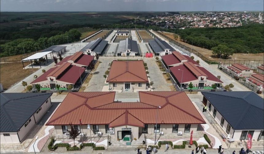 Tekirdağ'da 5 binden fazla sahipsiz hayvana umut oldular
